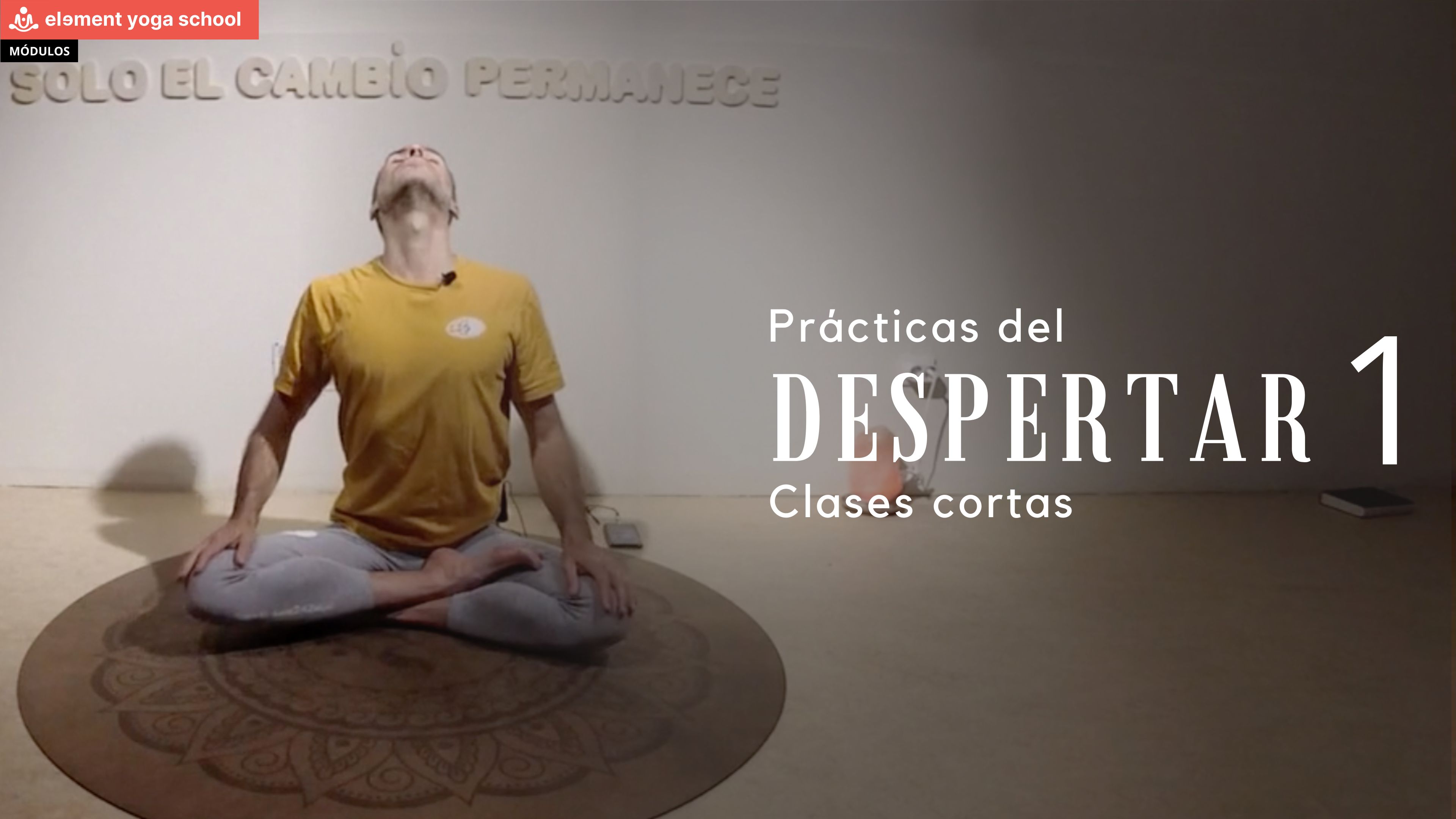 Práctica del despertar 1