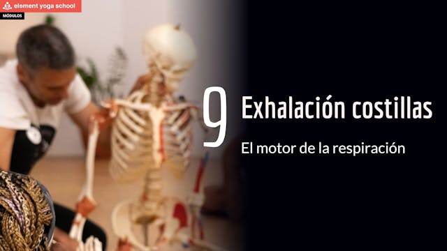 Exhalación costillas