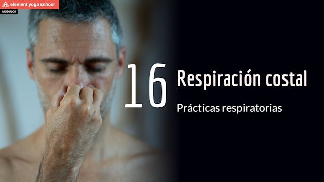 Lección 16 Respiraciones costales