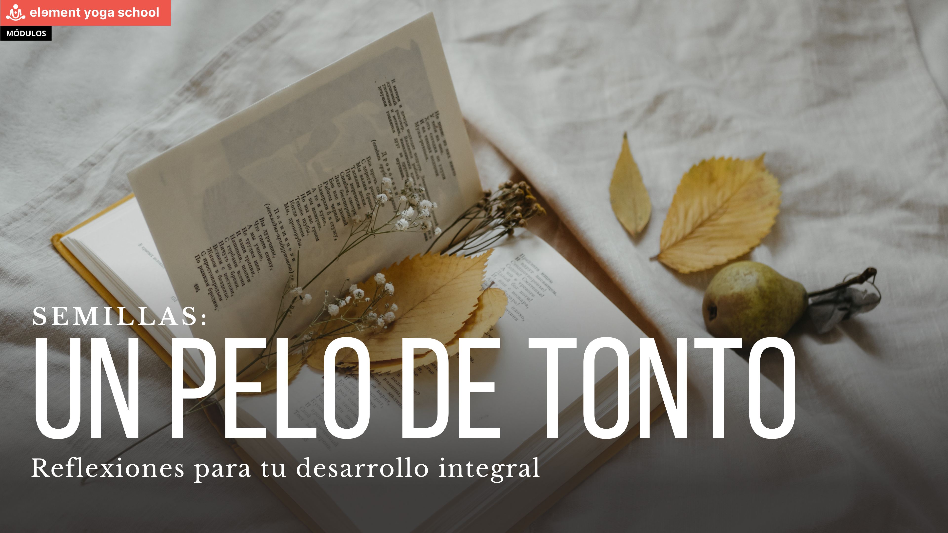 Un pelo de tonto. (Semillas)