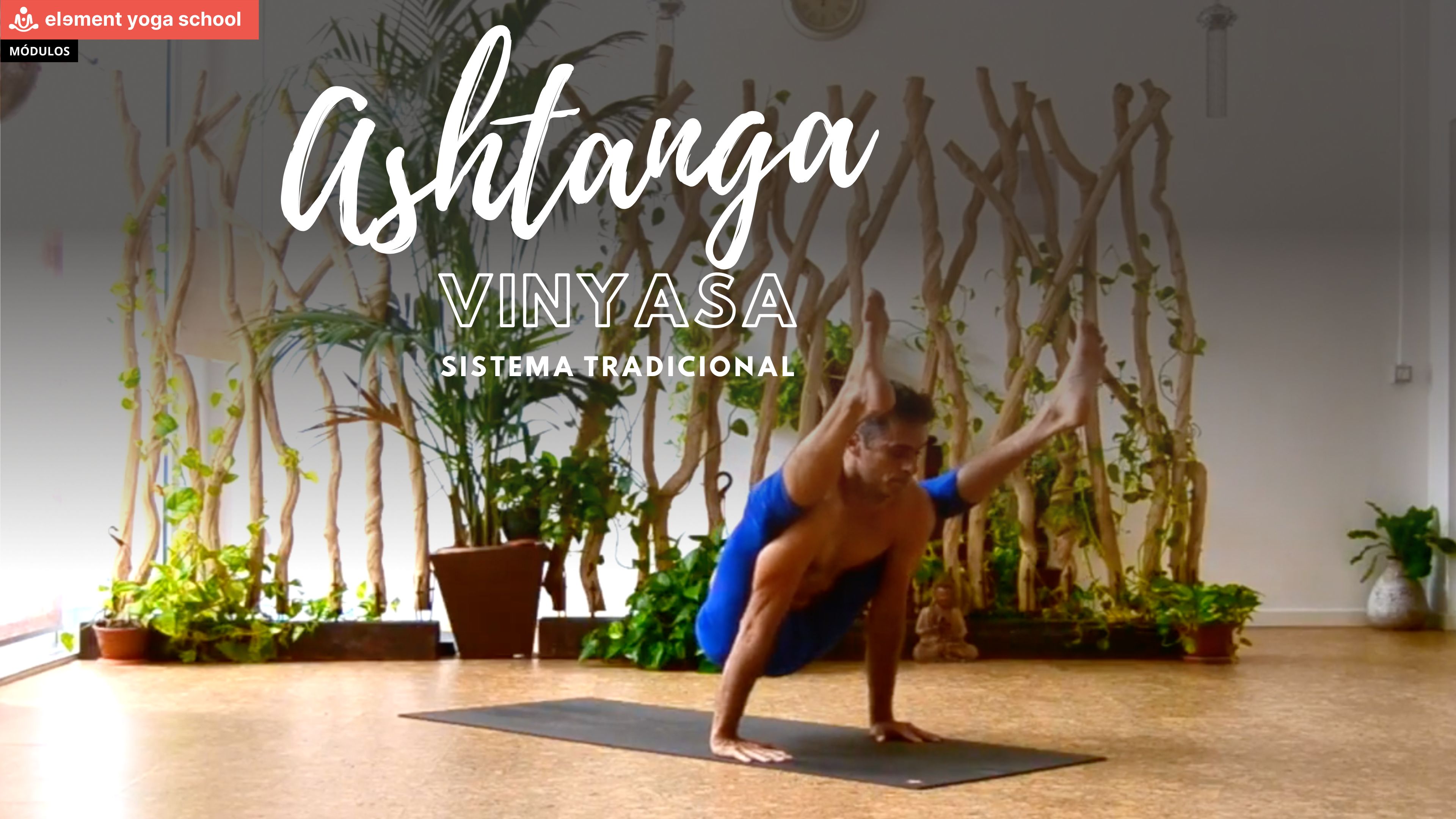 Ashtanga Vinyasa Yoga