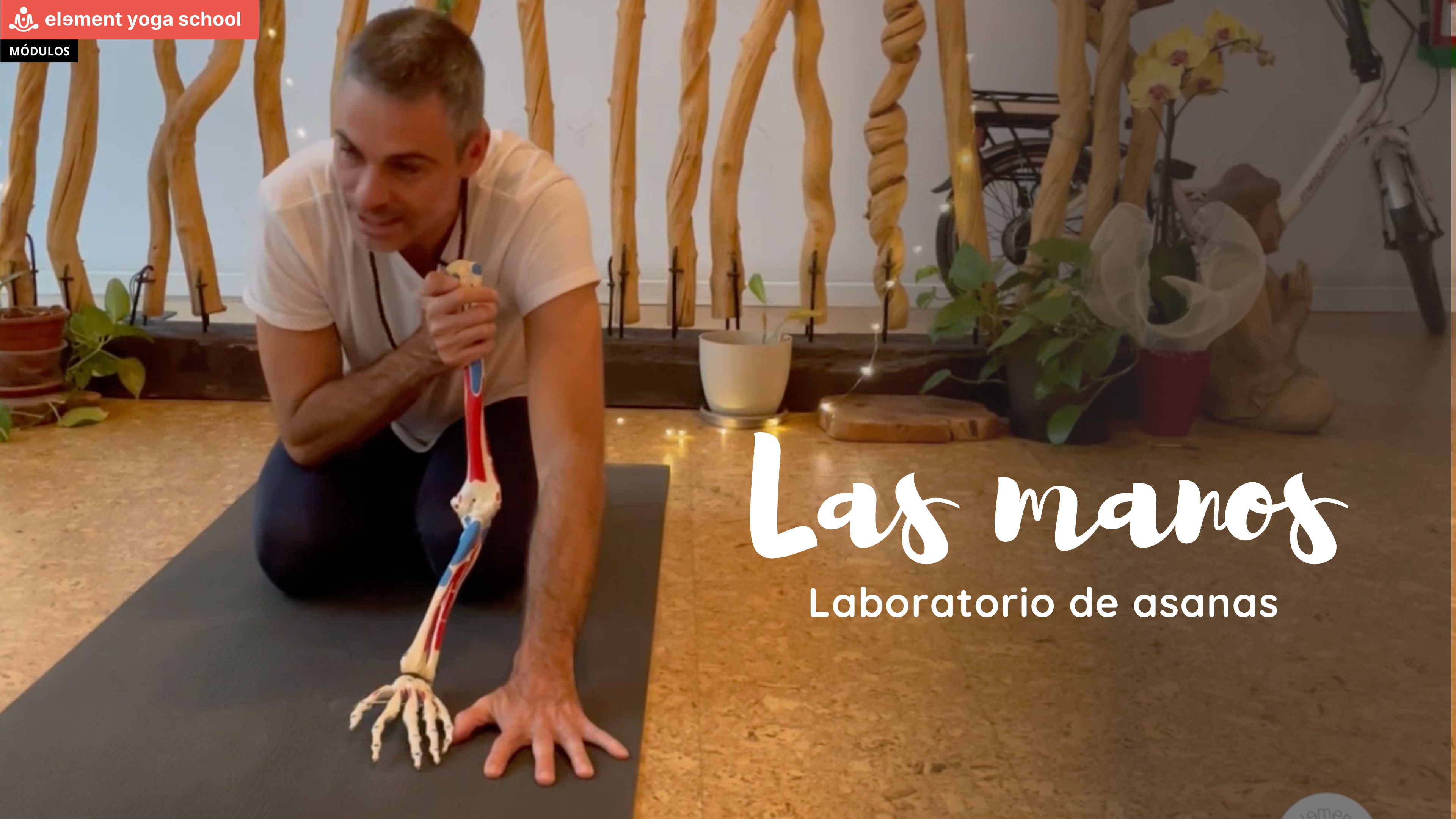 Cómo colocar las manos en el perro hacia abajo