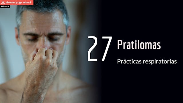 Lección 27 Pratiloma