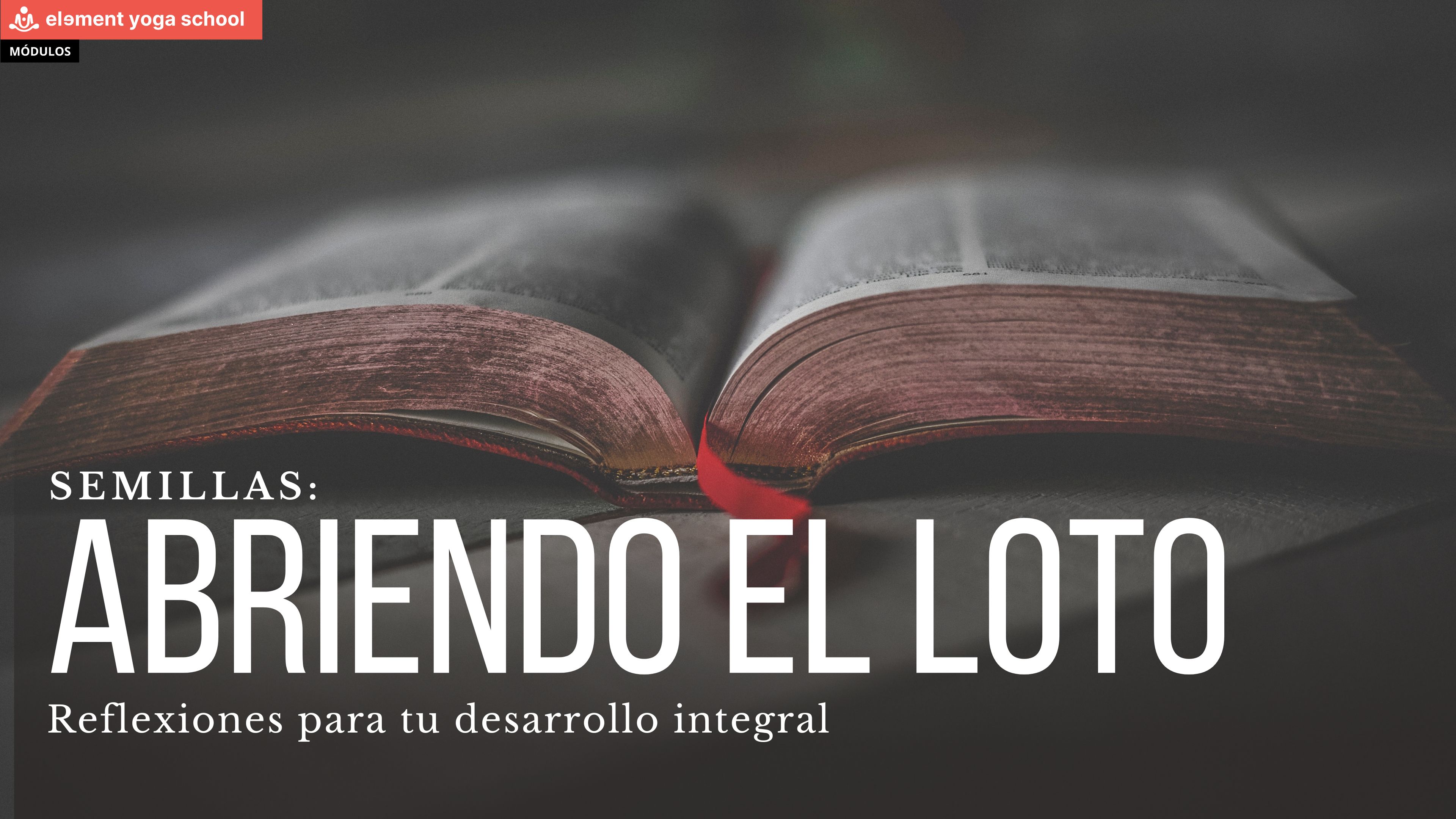 Abriendo el loto. (Semillas)