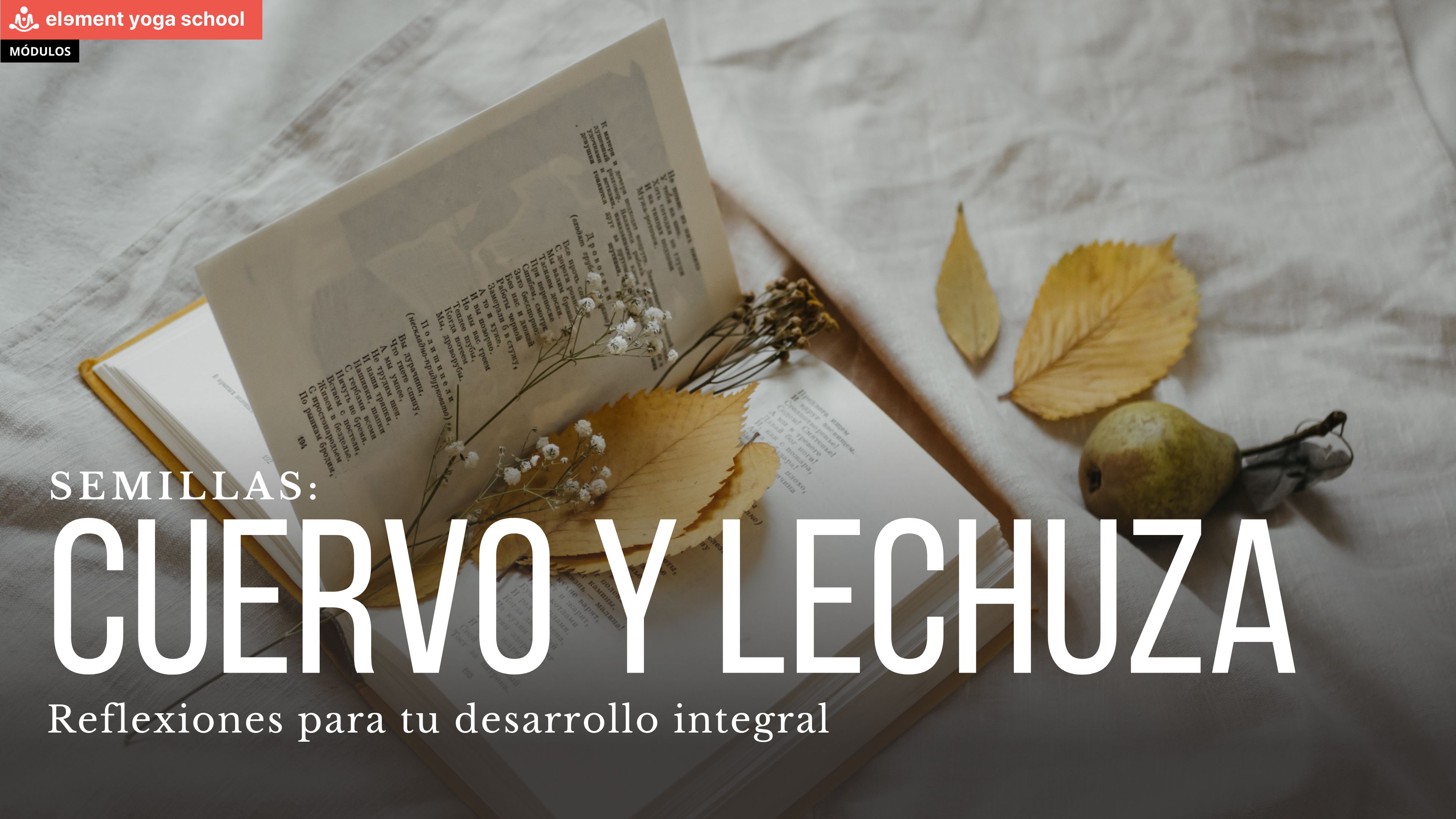 El cuervo y la lechuza. (Semillas)