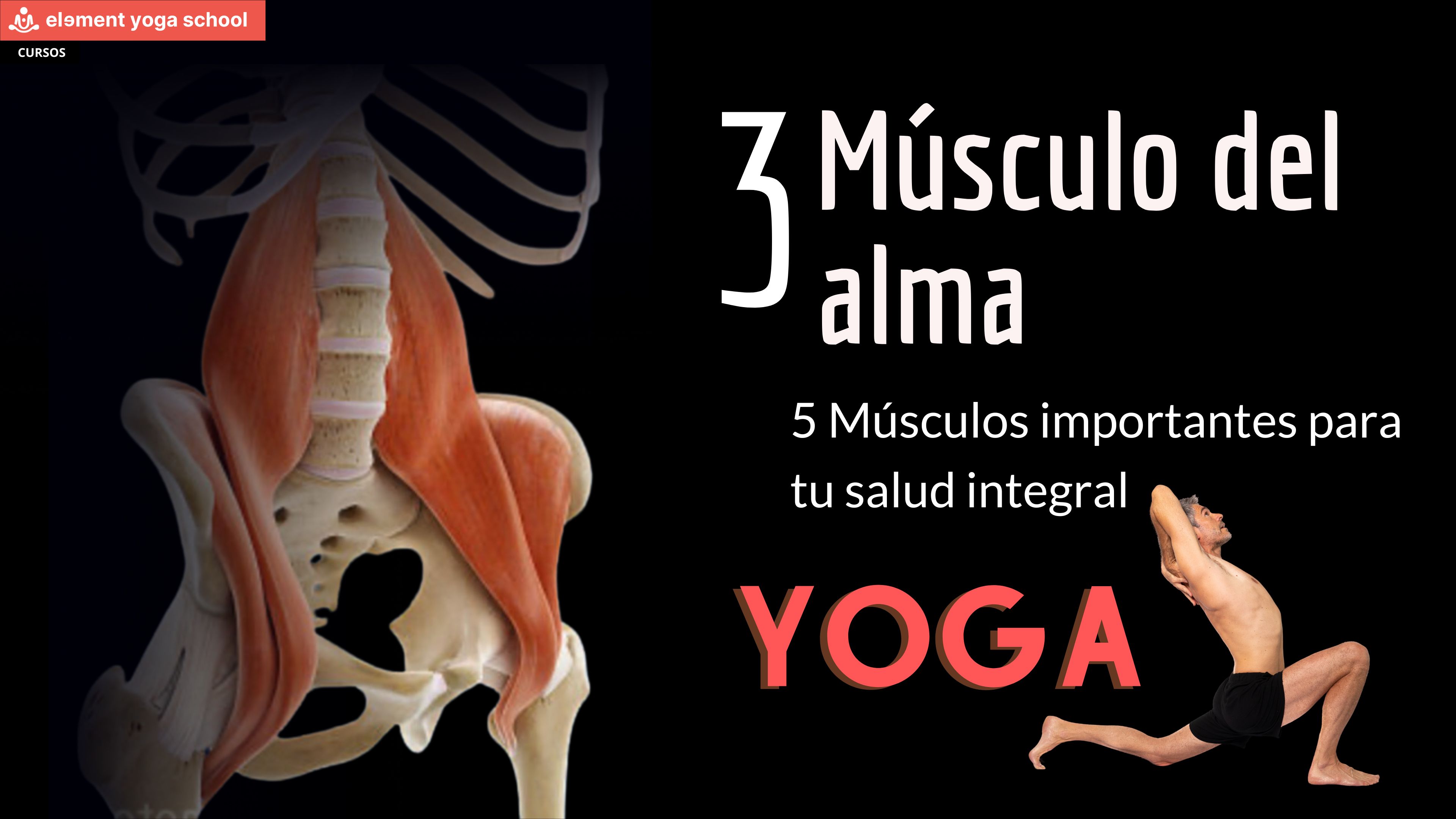 Psoas: El Músculo del Alma. Un viaje sutil hacia lo que no se ve