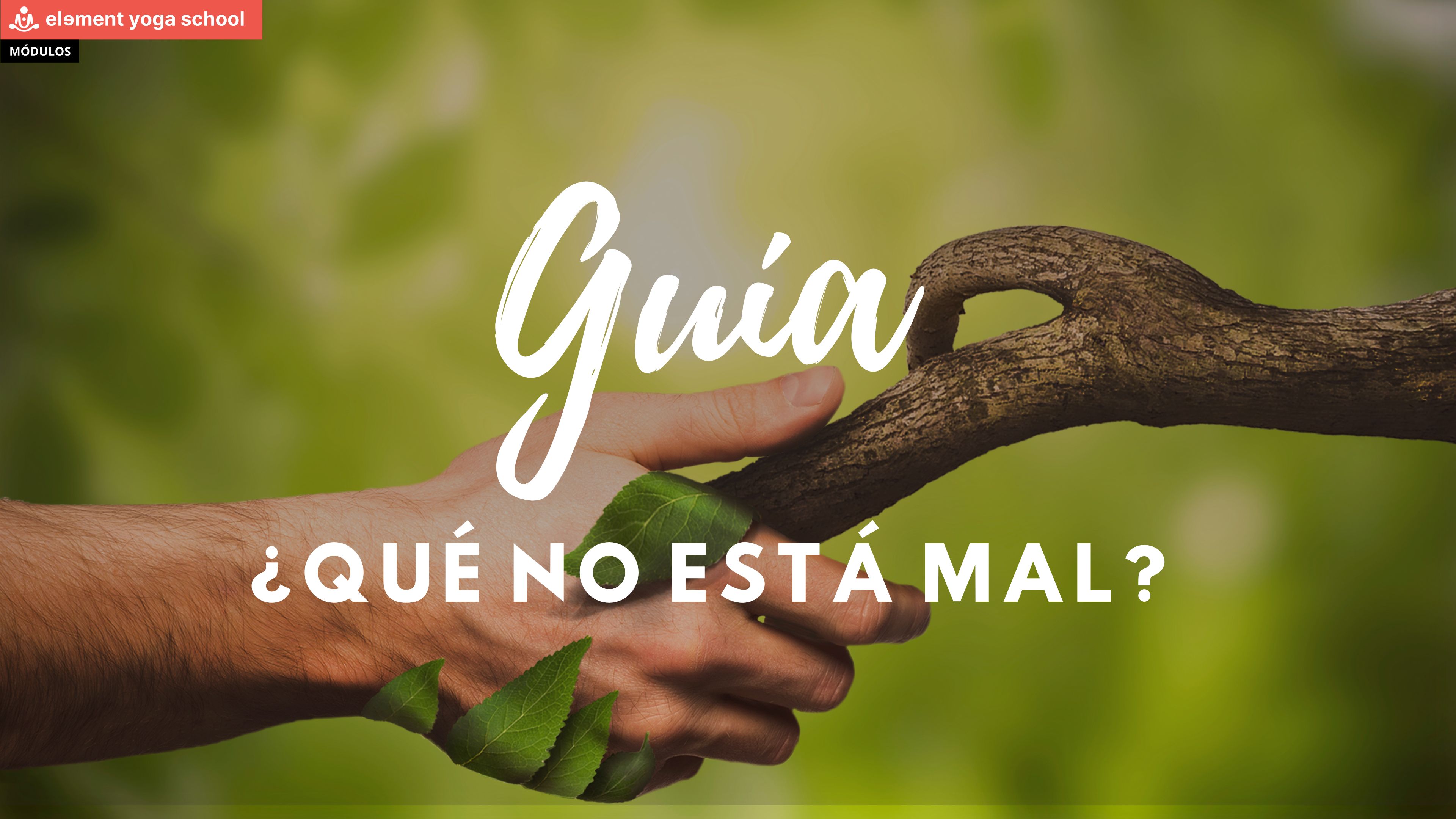 5. Guía de apoyo - ¿Qué no está mal?.pdf