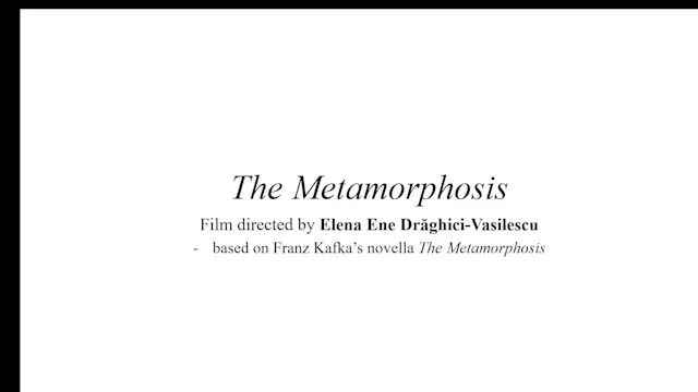 ODM 1003 Metamorphosis V9.5 Full Timeline. (1)