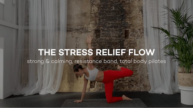 The Stress Relief Pilates Flow || 33min