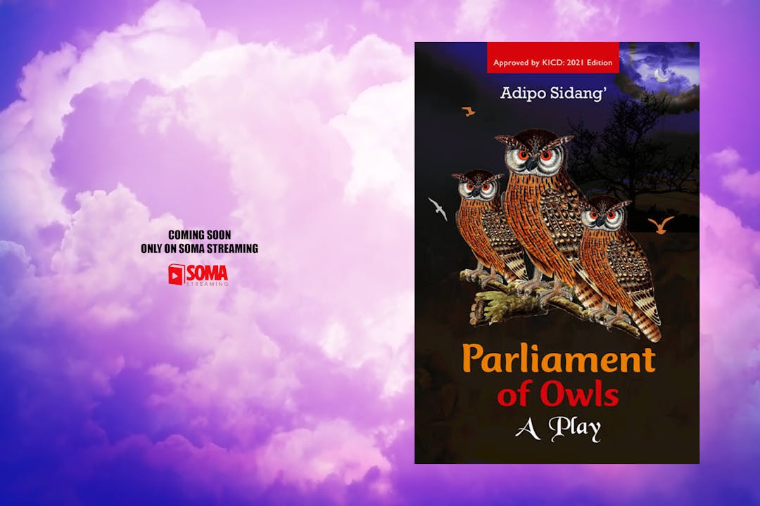 Parliament Of Owls