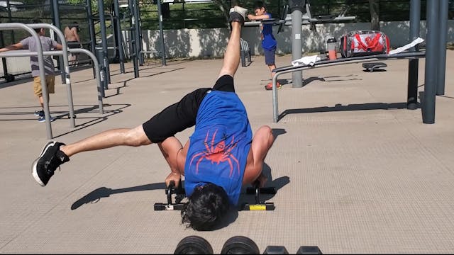 Elite Spider X Total Body