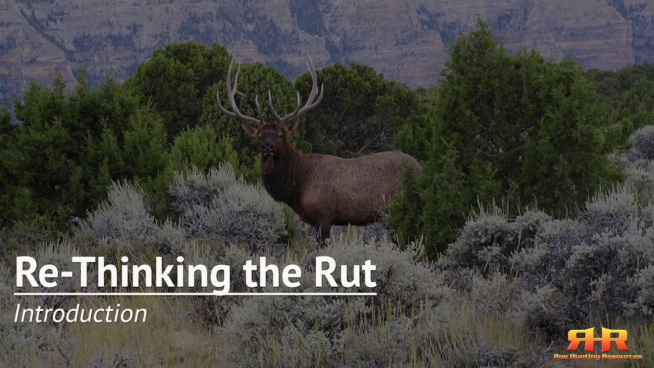 Introduction - Elk Hunting Institute by Roe Hunting Resources