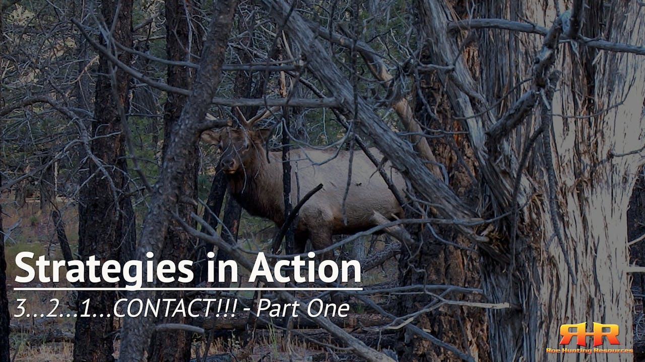 3...2...1...CONTACT!!! - Part One - Strategies in Action - Elk Hunting ...