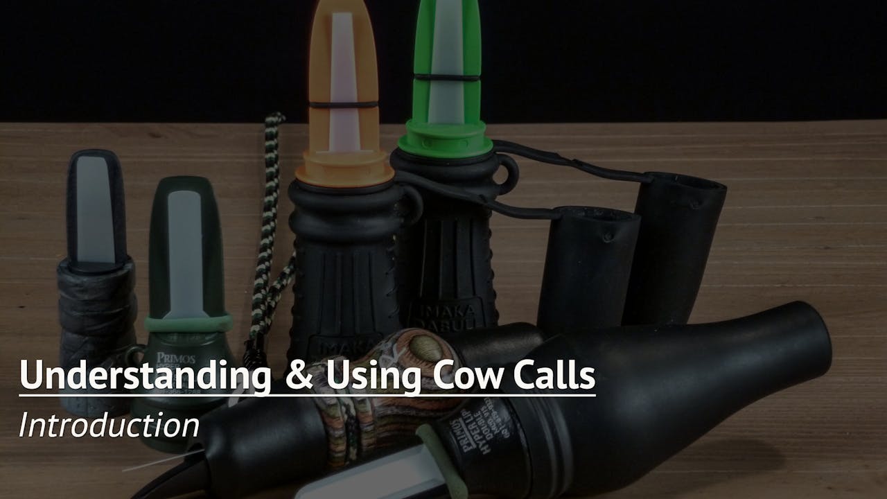 Understanding and Using Cow Calls Elk Hunting Institute by Roe