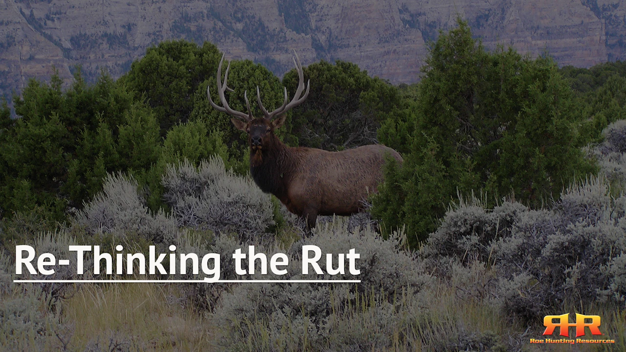 Re-Thinking the Rut - Elk Hunting Institute by Roe Hunting Resources
