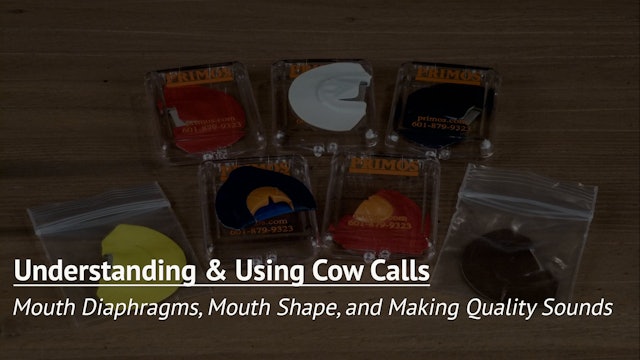 Mouth Diaphragms, Mouth Shape, and Making Quality Sounds