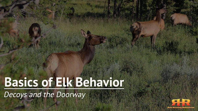 Elk Decoys and The Doorway Principle