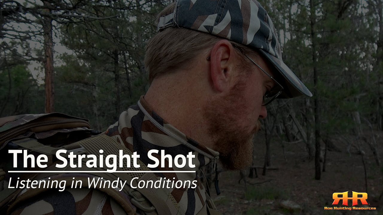Listening in Windy Conditions The Straight Shot Elk Hunting