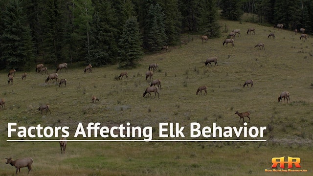 Factors Affecting Elk Behavior