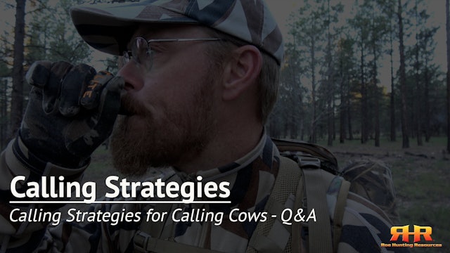 Calling Strategies for Calling Cows - Q&A