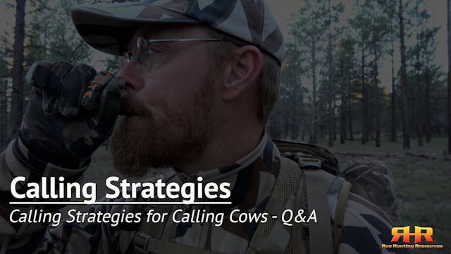 Calling Strategies for Calling Cows -...