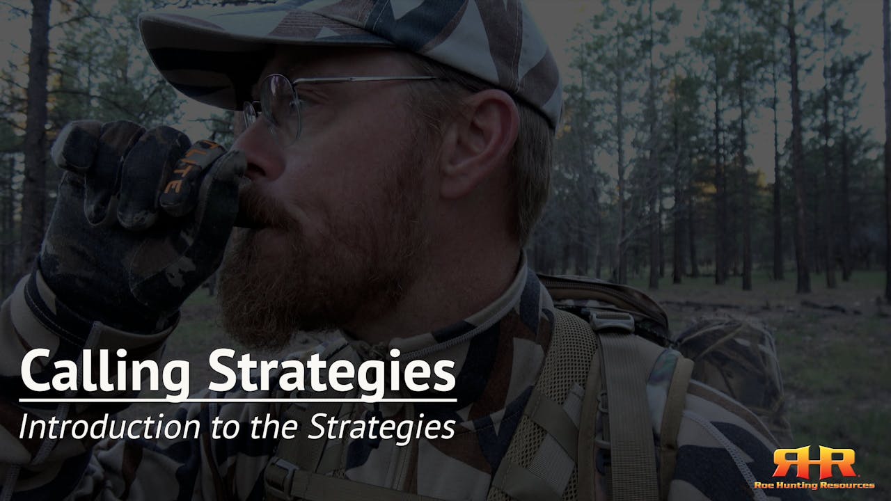 Introduction to the Strategies Calling Strategies Elk Hunting