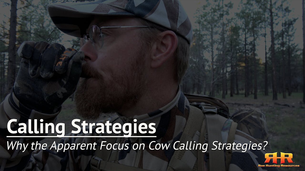 Why the Apparent Focus on Cow Calling Strategies? Calling Strategies