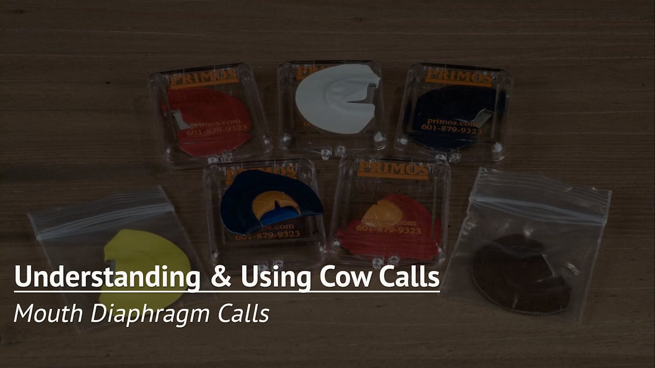 Mouth Diaphragm Calls Understanding and Using Cow Calls Elk Hunting Institute by Roe Hunting