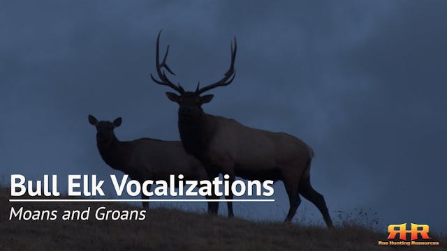 7. Moans and Groans - Introduction