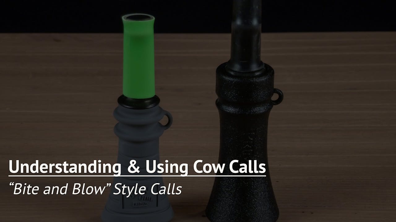 "Bite and Blow" Style Calls Understanding and Using Cow Calls Elk