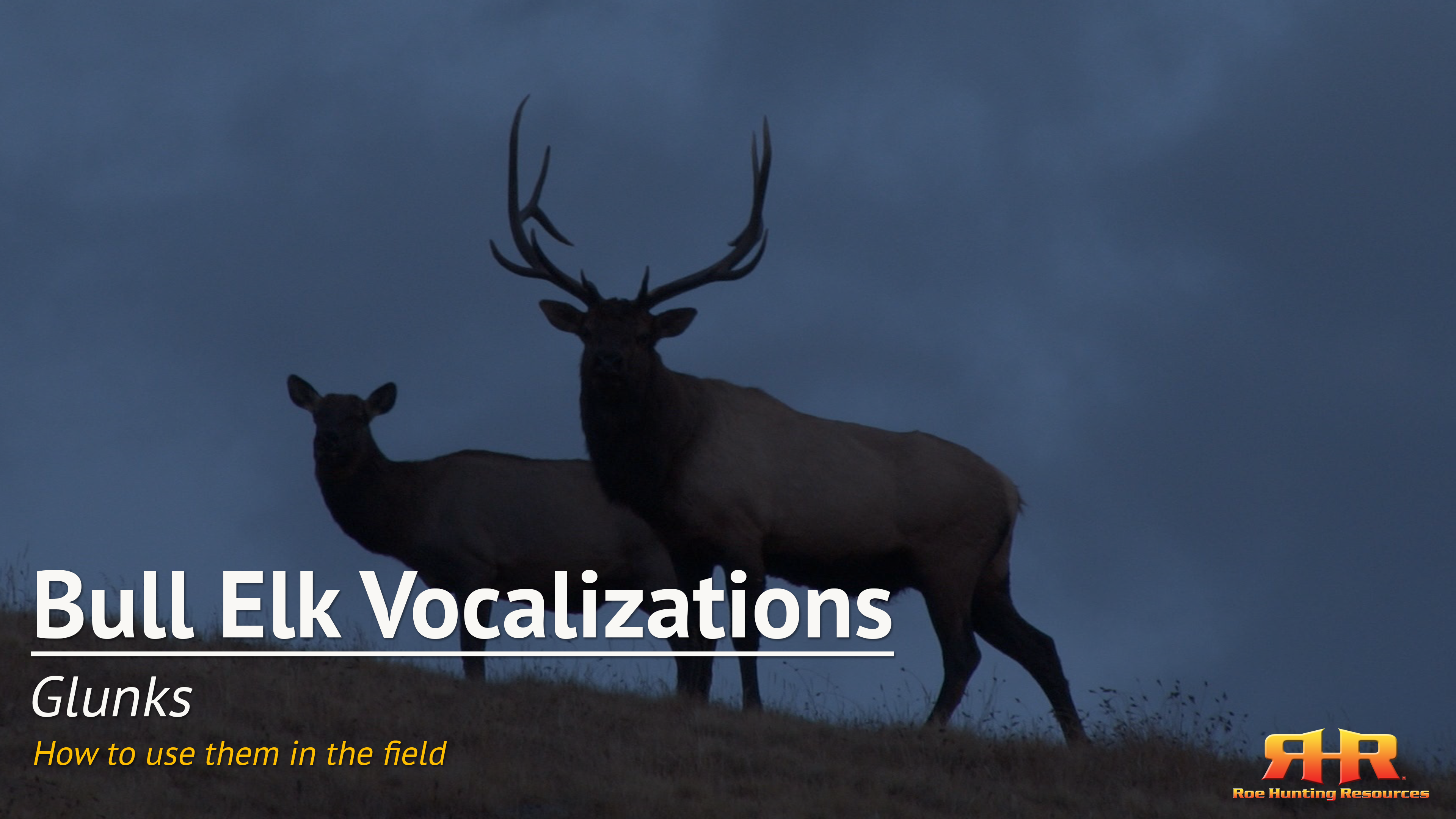 9.3. Glunks - How to use them in the field