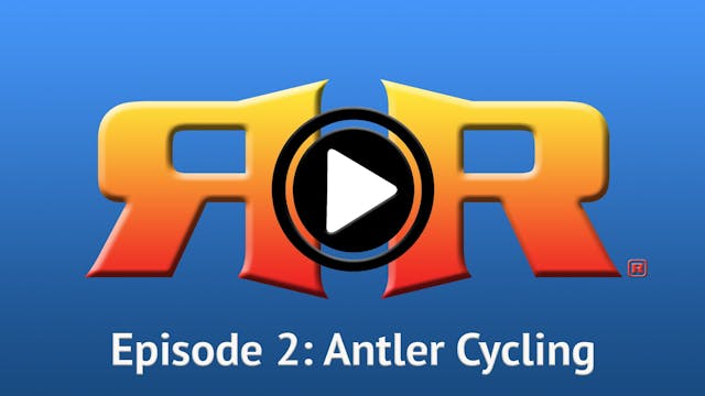 Ep.2 – Antler Development/Cycling in Elk