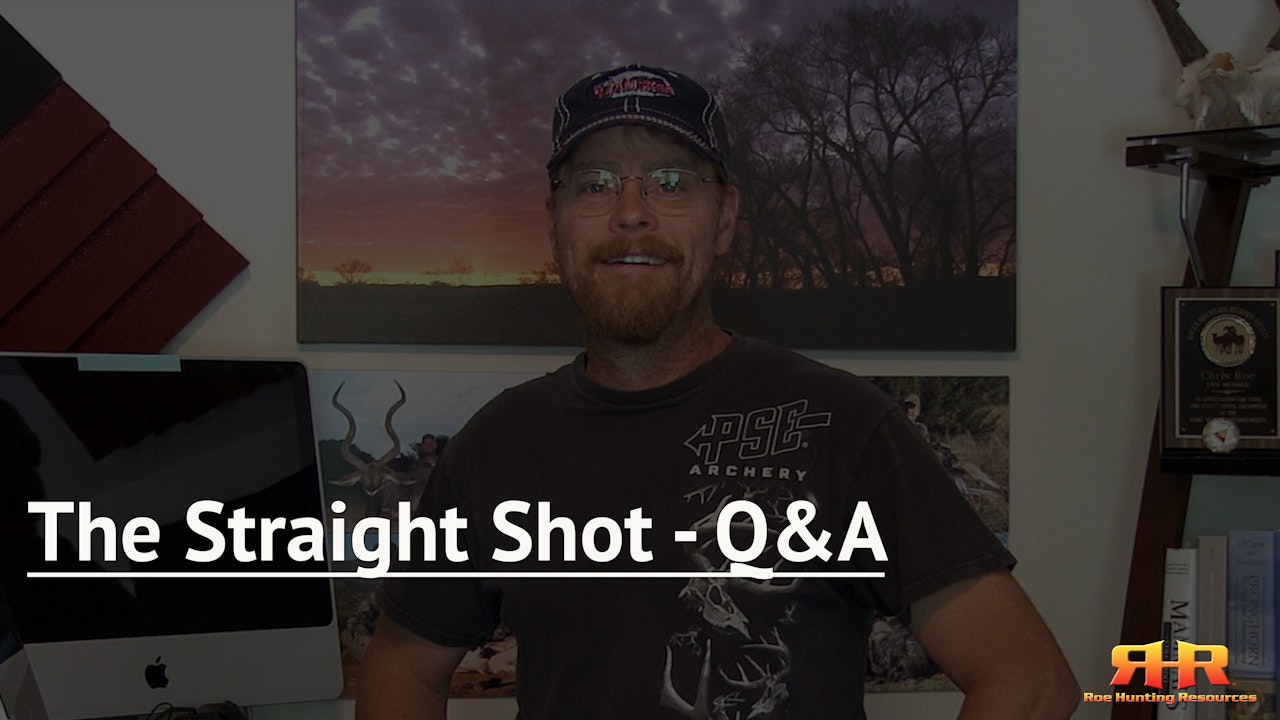 The Straight Shot - Q&A
