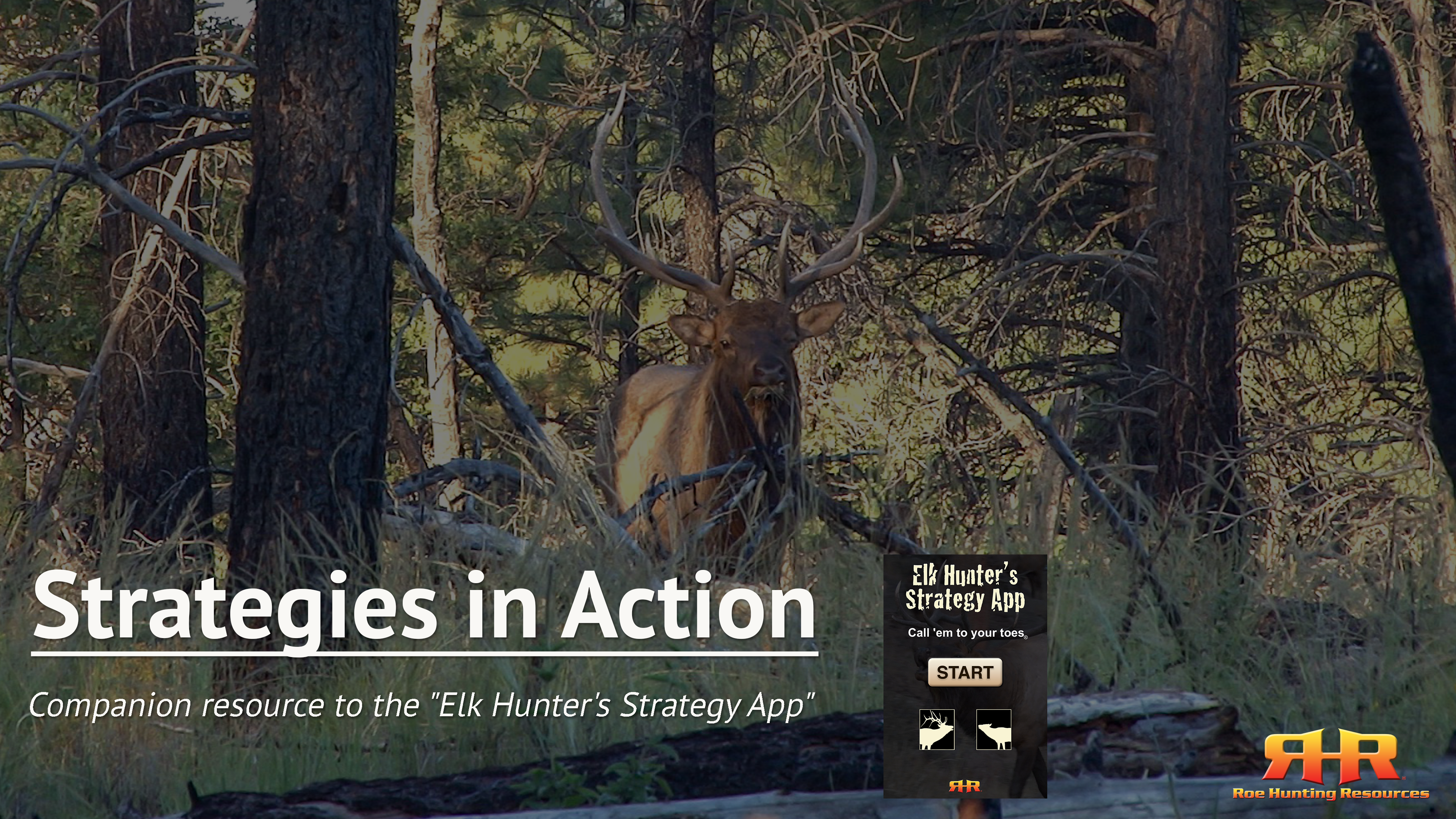 Strategies in Action