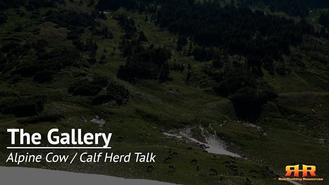 Alpine Cow / Calf Herd Talk