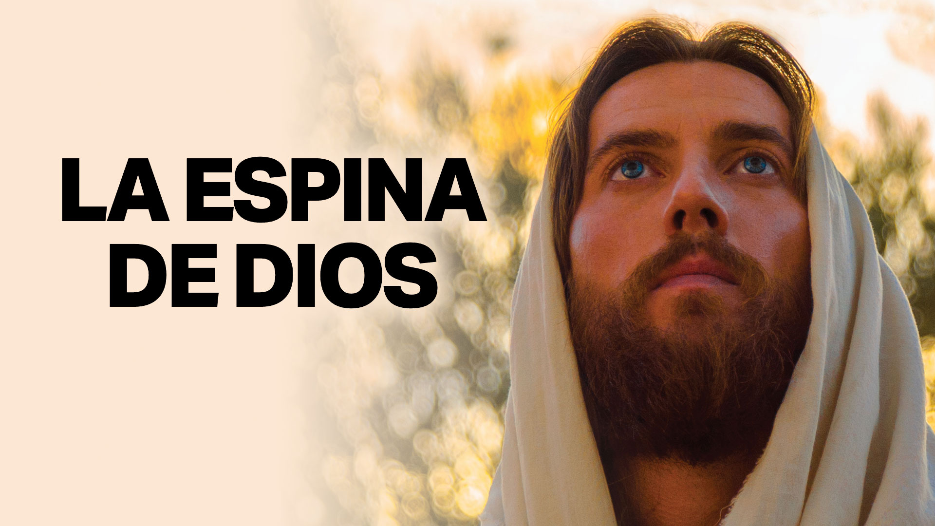 LA ESPINA DE DIOS, 2015