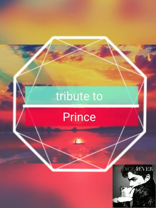 tribute to prince