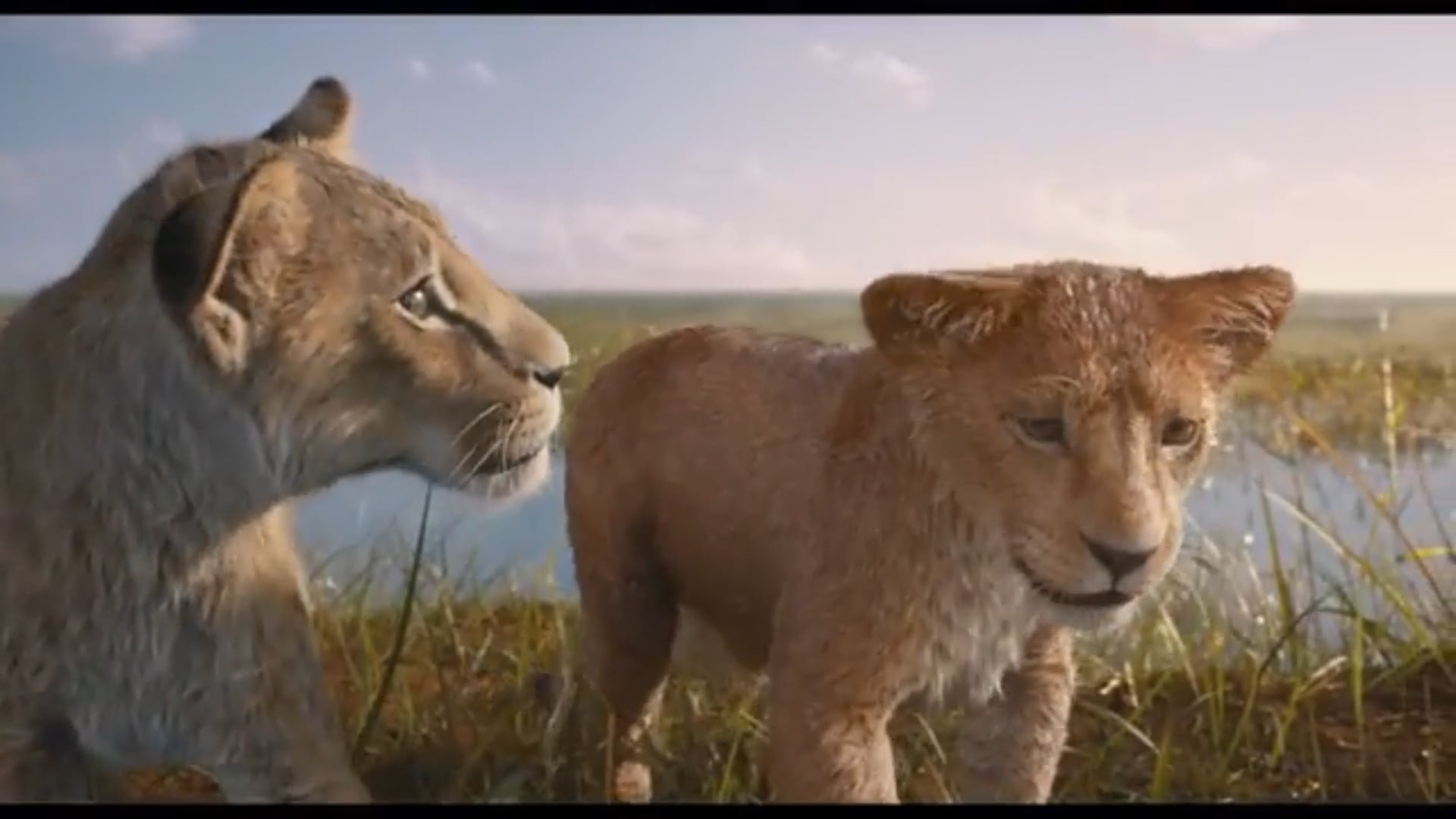 International Remembrance Day