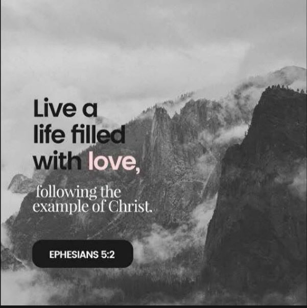 FilmForth lord have will