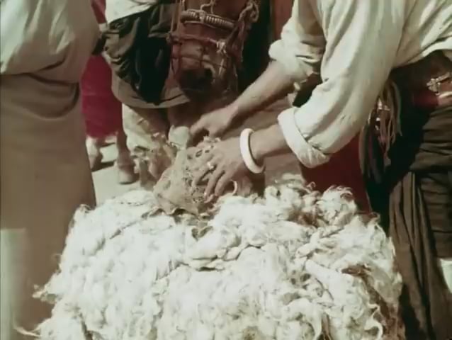 Seven Years In Tibet (1956) Hans Nieter