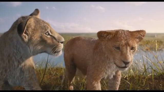 International Remembrance Day