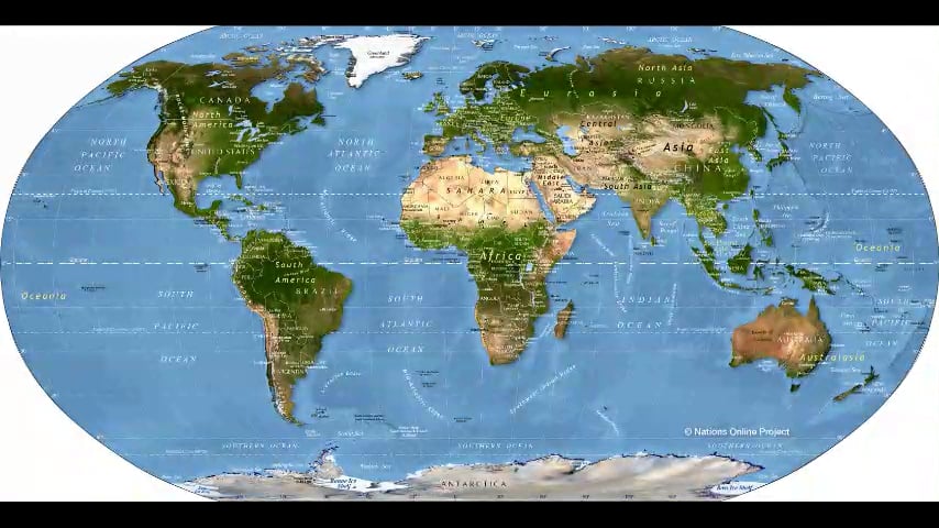 FilmForth fam special collie buddz