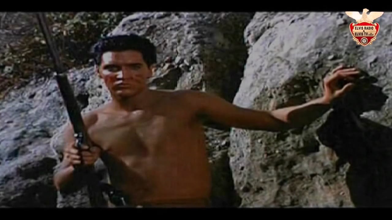 ELVIS TV ON DEMAND Video