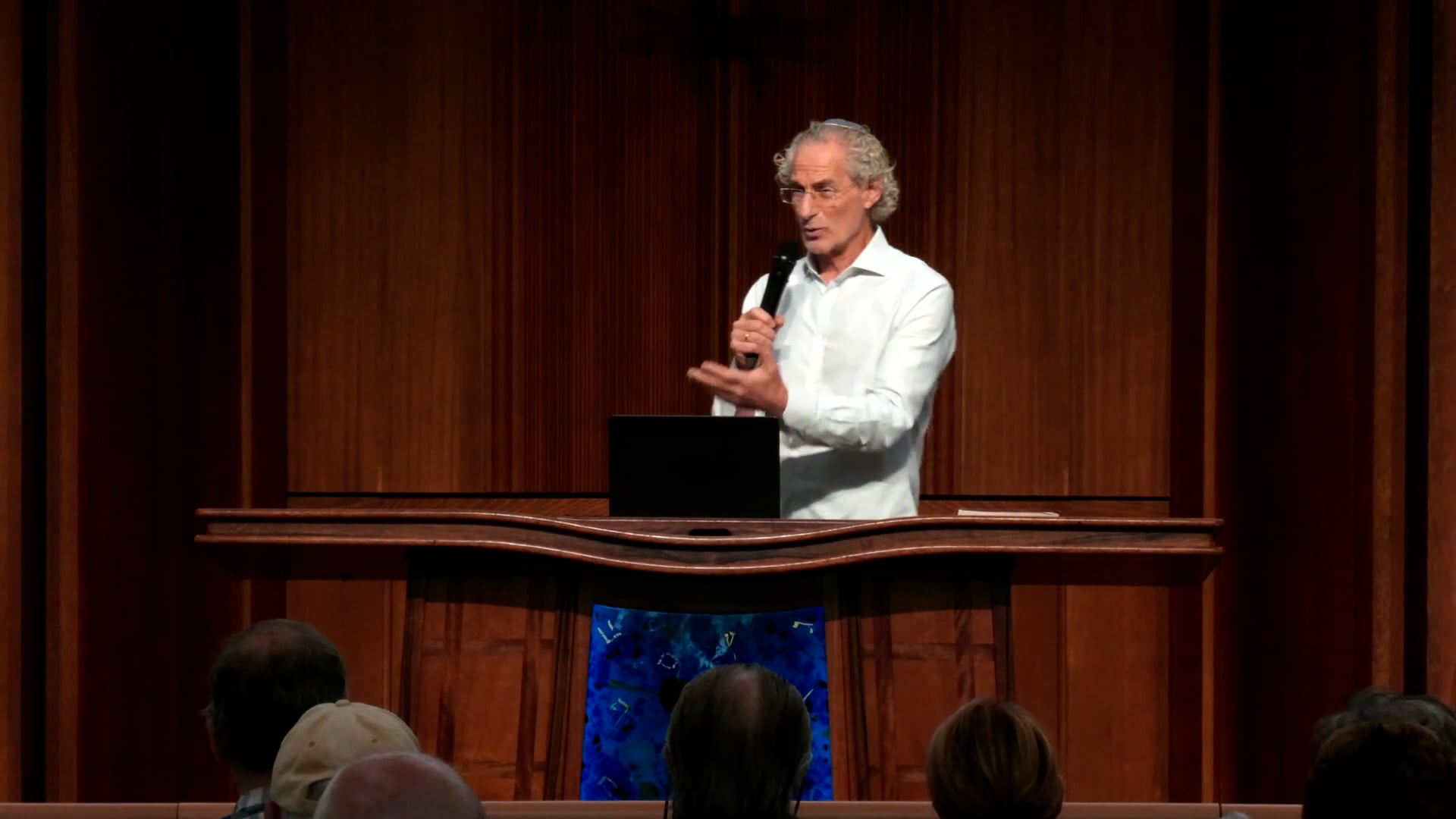 Conversations About Israel with Rabbi Kamins