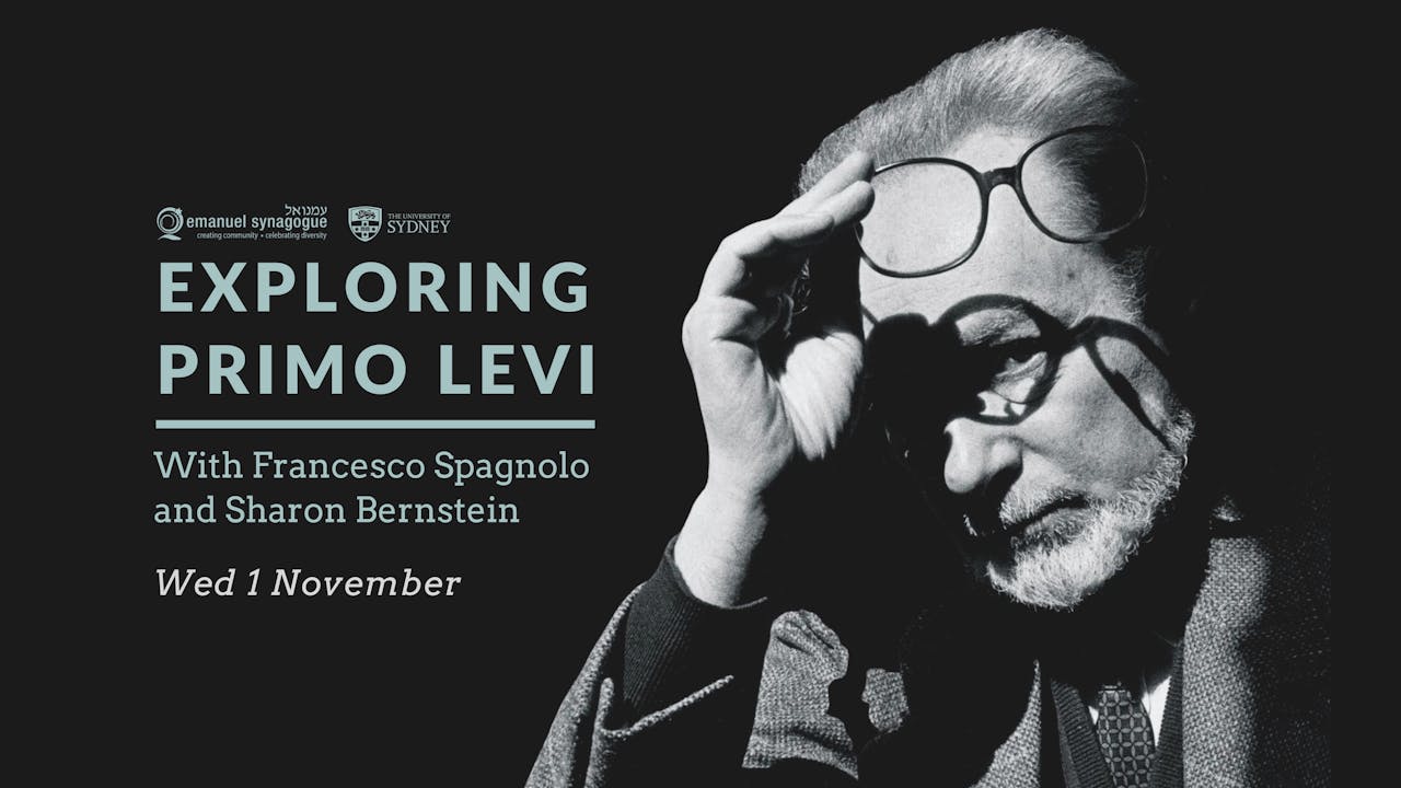 Exploring Primo Levi