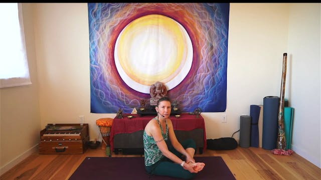 The Vibrational Body
