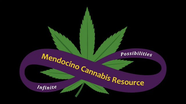 Digital Activism Productions and Mend...