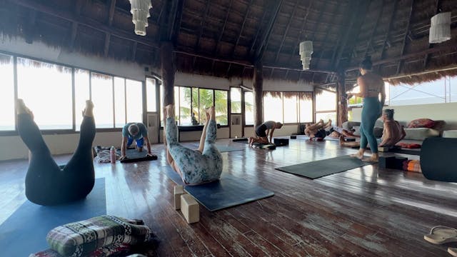 Live Active Flex Flow in Tulum