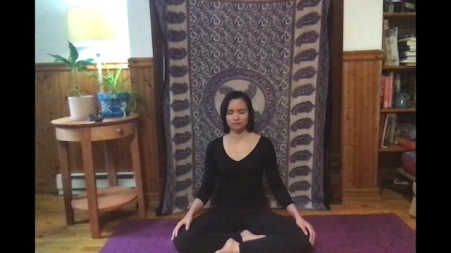 20min Immune & Respiratory Strengthening Breath Practice