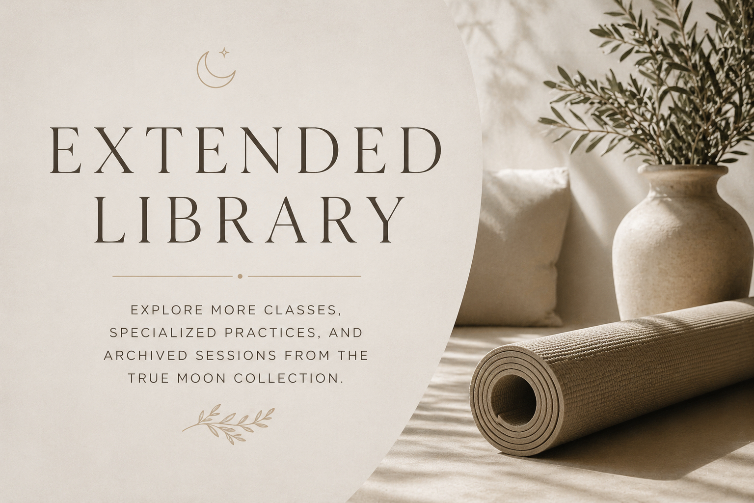 Extended Library